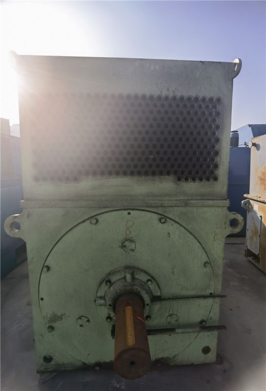 三相异步电动机YSP560-6极 900KW