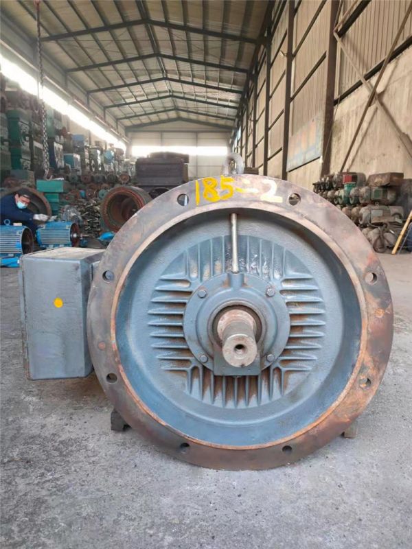 立卧两用Y315-2极  185kw